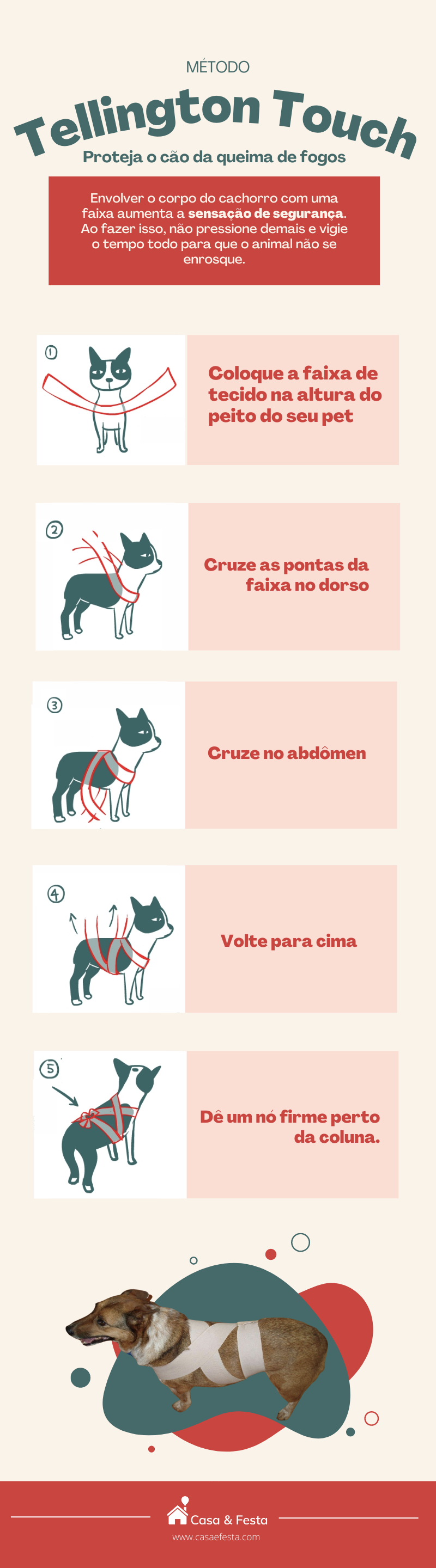 Silvestrovský ohňostroj: naučte se, jak uklidnit své štěně