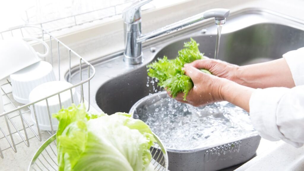 Sådan opbevarer du salat i køleskabet i længere tid: 5 tricks