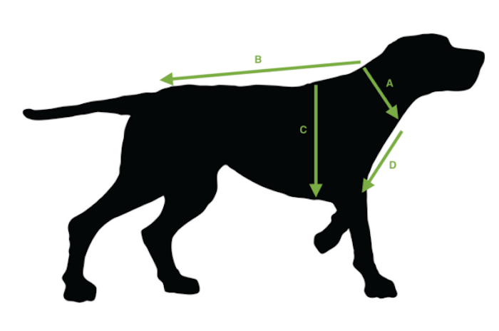 Pola pakaian anjing: 15 model PDF untuk dicetak