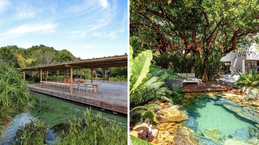 Naturlig swimmingpool til boligen: 34 ideer til at skabe et paradis