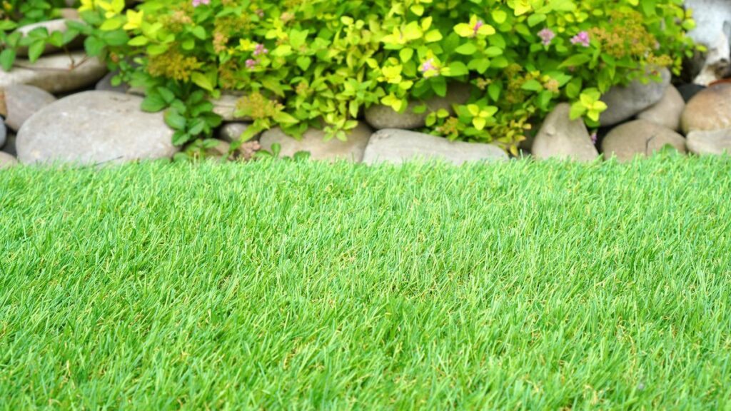Як выкарыстоўваць сінтэтычную траву на адкрытым паветры? 22 ідэі