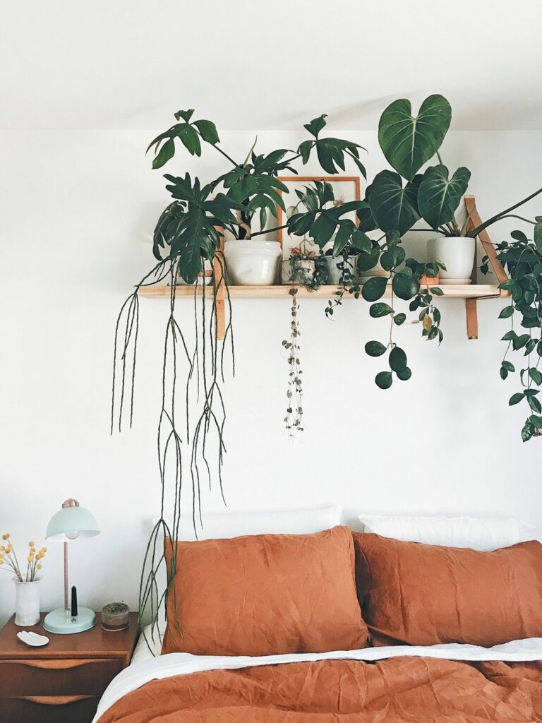 ડબલ બેડરૂમ માટે 18 છોડ કે જે તમને સારી ઊંઘ લેવામાં મદદ કરે છે